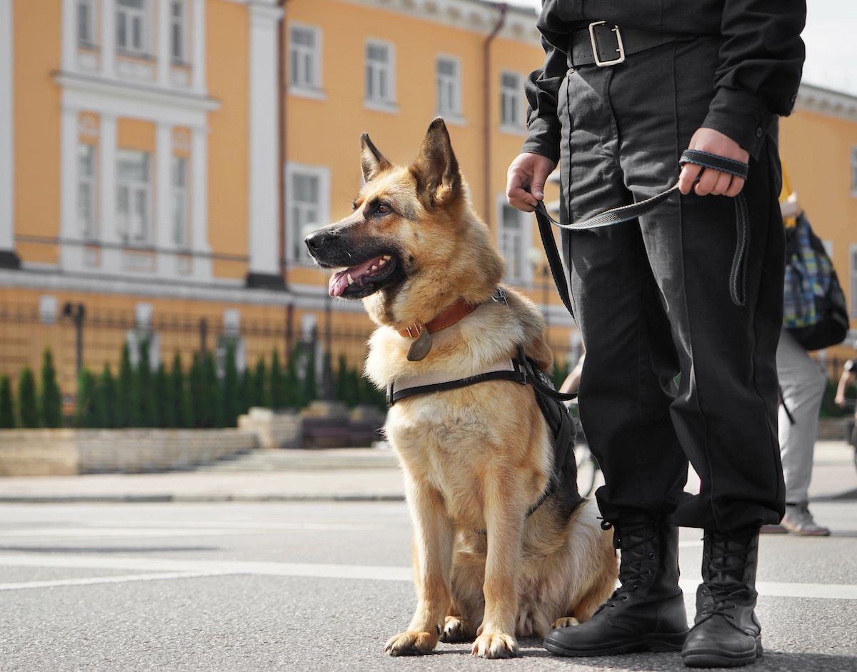 Security guard on duty